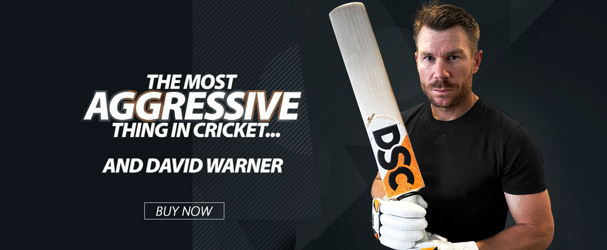 david warner bull 31 bat